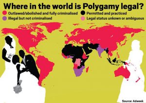 COMP_POLYGAMY-MAP.jpg