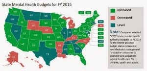 NAMI Chart Showing Mental Health Spending in the US in 2015