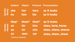 Inclusive pronouns so as not to be Gender Binary