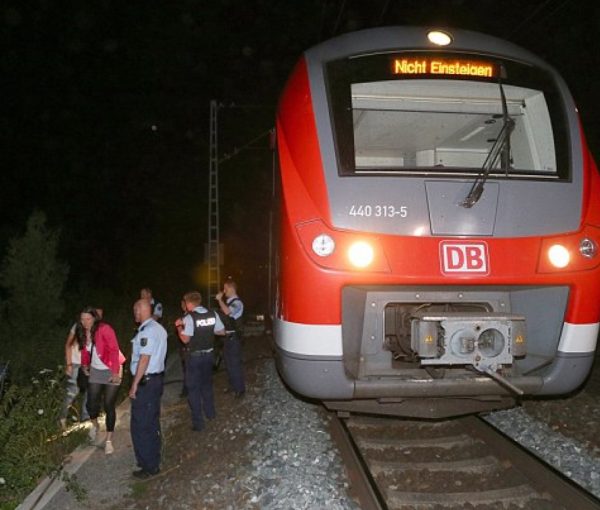 New Normal? Afghan Refugee Yelling “Allahu Akbar” Attacks Dozens on Train in Germany