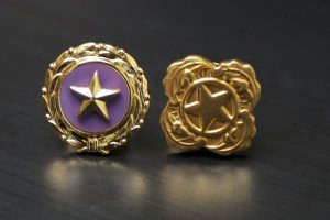 Gold Star Lapel pins worn by the family of the fallen.