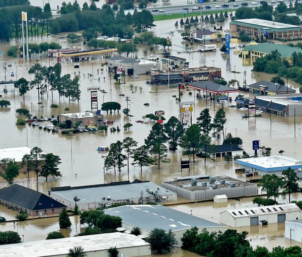 Trump Visits Flood-Ravaged Louisiana Today While Obama Golfs And Hillary Naps [VIDEOS]