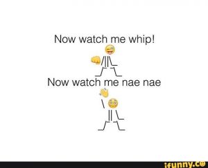 Whip and Nae Nae.