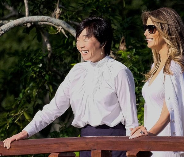 Melania’s understated elegance is a message of mutual support, good for America [video]