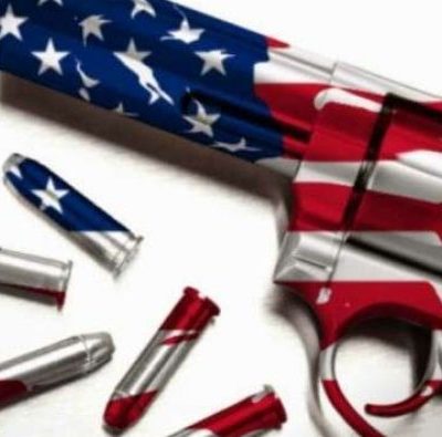 GOP did not weaken gun laws, did strengthen separation of powers doctrine