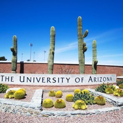 Tax Dollars Hard at Work: University of Arizona to Hire Social Justice Advocates