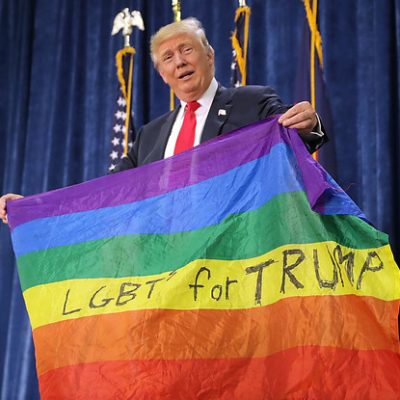 Buzzfeed is Butthurt Since Trump Didn't Mark Gay Pride Month. [VIDEO]