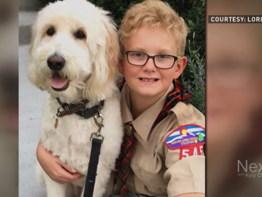 Colorado Cub Scout Is Left Without a Den Because of Crazy Mother