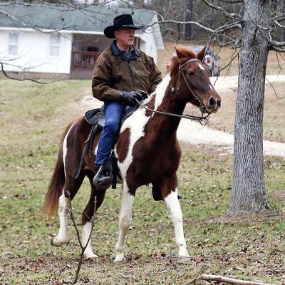 #AlabamaSenate: Roy Moore Rode A Horse And Other Plot Twists [VIDEO]