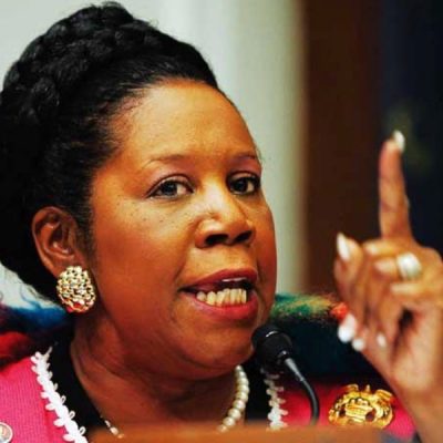 Sheila Jackson Lee Calls Human Rights Activist Racist Over United Seat Uproar [VIDEO]