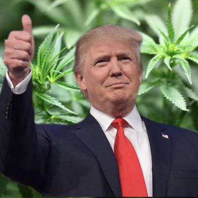 Should Trump Support Legalizing Marijuana? [video]