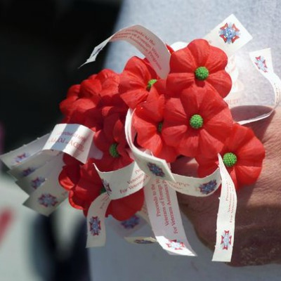 Why Red Poppies on Memorial Day?