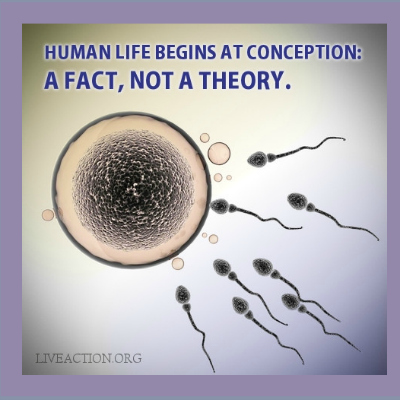 ‘Life Begins At Conception’ Is A Difficult Idea For The Terminally Stupid