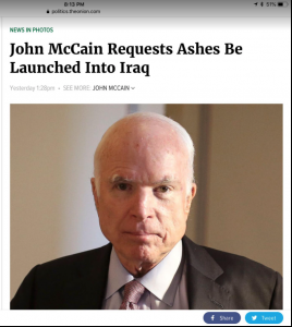 john McCain onion