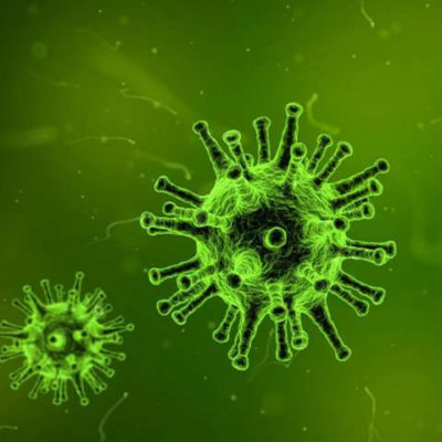 China's 2019 Novel Coronavirus: Don’t Panic, Prep!