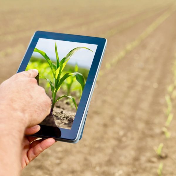 Mike Bloomberg Says Farmers Aren’t Smart Enough To Code