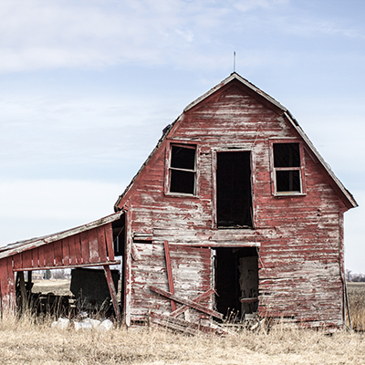 Lockdown is Destroying Food Supply Chain