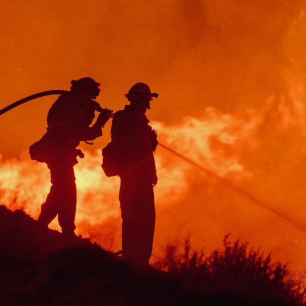 Climate Change Policies Will Fix Wildfire Problems