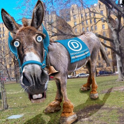 Democratic Party of Hate, Edition 2020