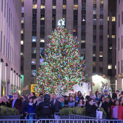 Christmas Trees On Brand For 2020