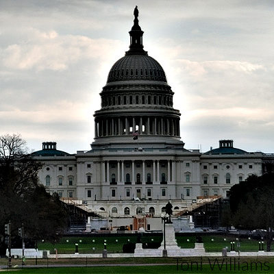 Breach Of Capitol And Death of Protester Easily Forseen