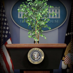 inauguration of FICUS Biden