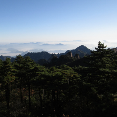 The Hills Are Alive With The Screams Of Uighurs