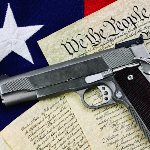 4th Circuit Panel Rules Handgun Ban UnConstitutional