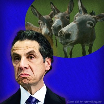 Andrew Cuomo Big Mad That Democrats Dumped Him