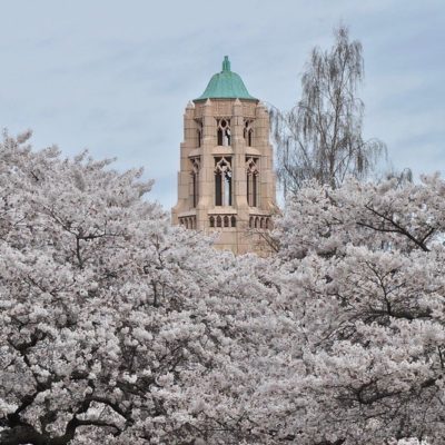 University of Washington: Aborted Fetuses In Paper Bags