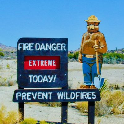 US Forest Service Started Massive New Mexico Blaze