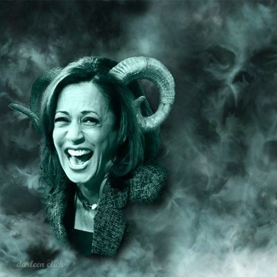 Kamala, Abortion Czar, Lords At 35,000 Feet