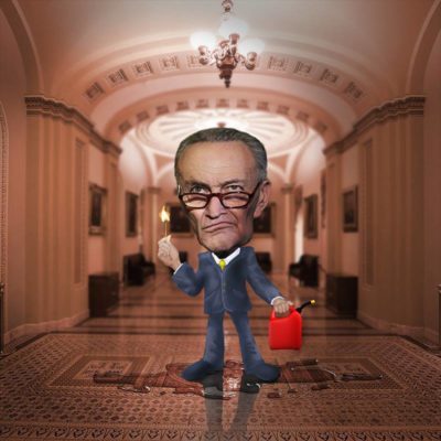 Schumer Cautiously Optimistic--About Redundancy and Stupidity