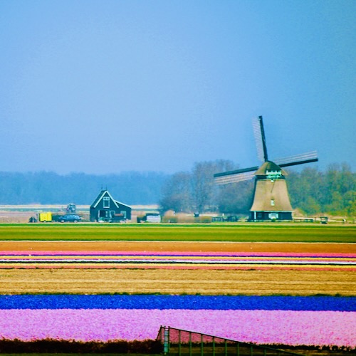 Netherlands To Seize 3,000 Farms In Name Of Climate Change