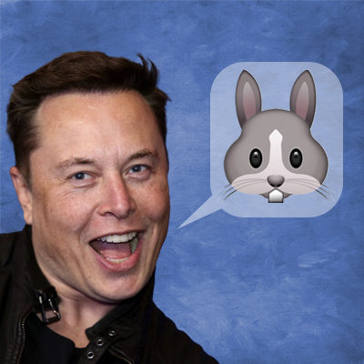 Elon Musk and the Bunny Emoji That Triggered QAnon Terror
