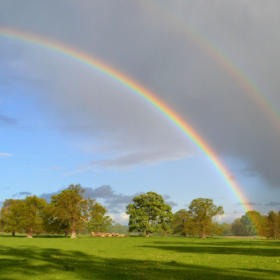 Rainbow Spirit And Sparkle Creed Infest Christian Churches