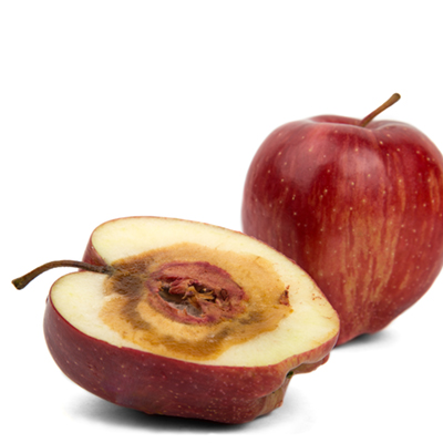 NEA rotten apple