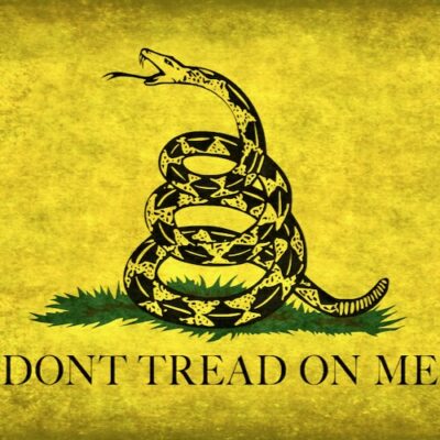 Don’t Tread On Me: School Claimed Gadsen Flag Was Hate Symbol