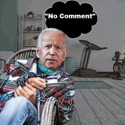 joe biden no comment maui