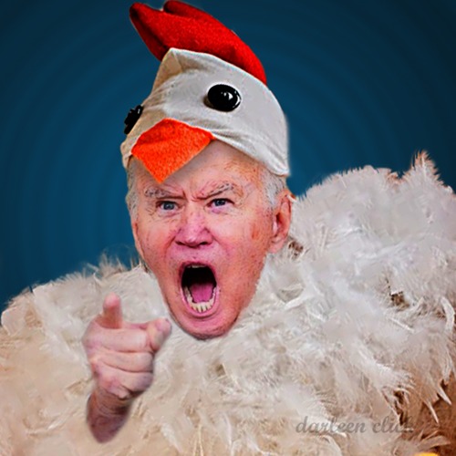 Chicken Little Biden Claims Democracy Falling