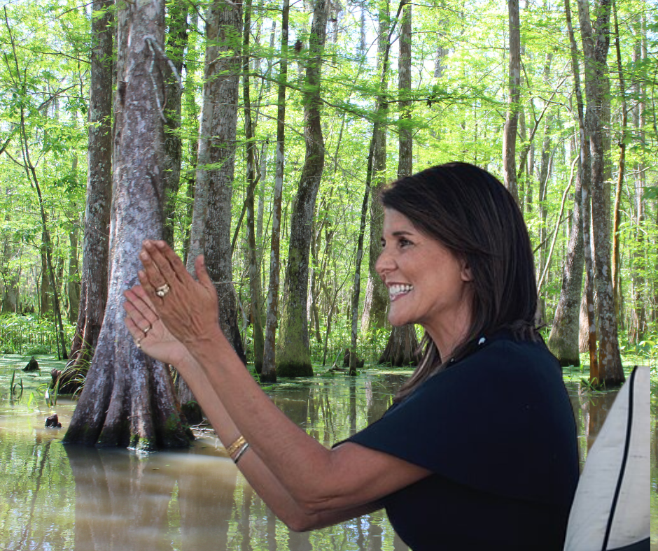 Nikki Haley And The Swamp