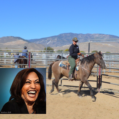 Border Patrol Vs. Kamala Harris - Only The Patrol Is Necessary