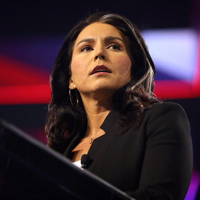 Little Brain Democrats Try To Stomp Tulsi Gabbard