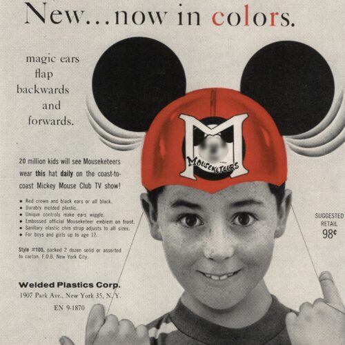 The Guys In Mickey Ears Need A Dose Of Reality