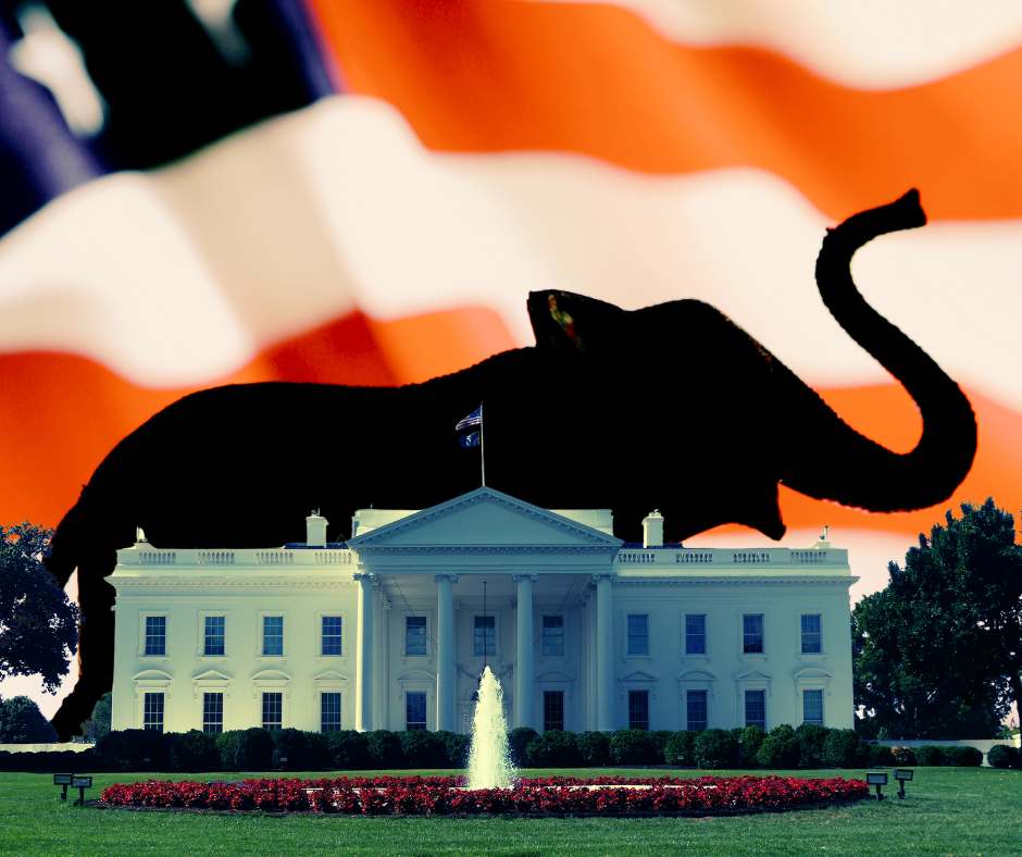 Why JD Vance (and Maybe Rubio) Are the Only Real GOP Options for 2028