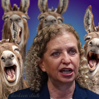 Bad Penny Wasserman Schultz Signals Democrats 2026 Election Tactic