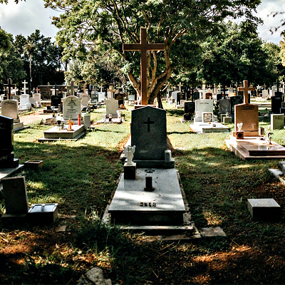 Urinate On White Corpses Urges Minnesota Board Member