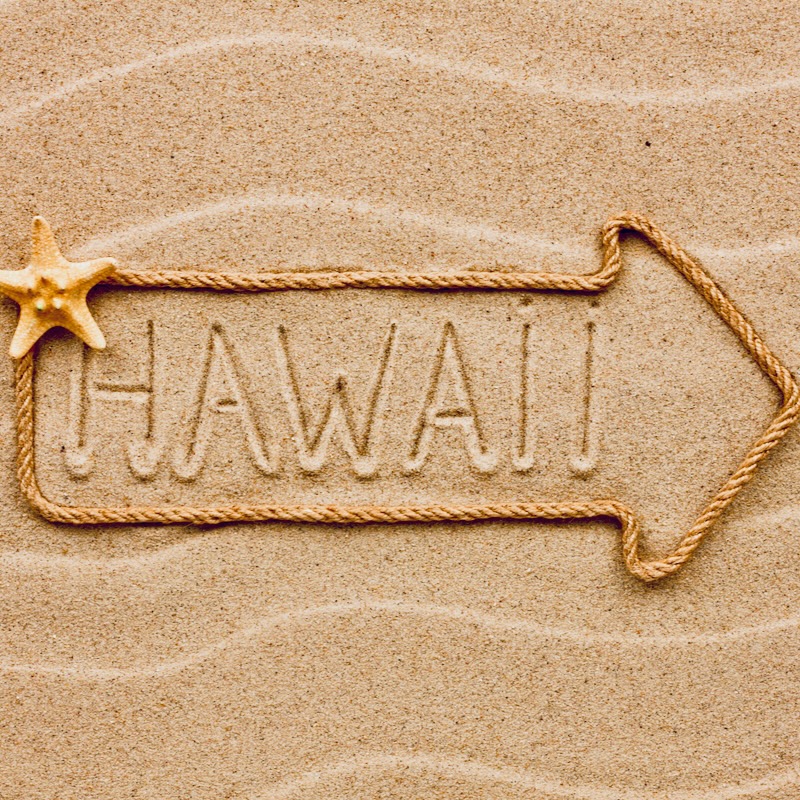 LA’s Homeless Nonprofit CEO Enjoys The High Life In Hawaii